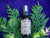 Red Cedar Hydrosol (Thuja Plicata)
