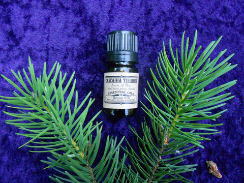 Douglas Fir Essential Oil (Pseudotsuga Menziesii)