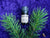 Douglas Fir Essential Oil (Pseudotsuga Menziesii)