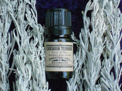 Sagebrush Essential Oil (Artimisa Tridentata)