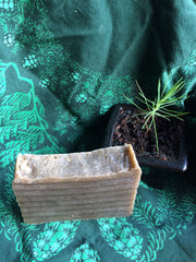 Forest Shampoo and Body Bar
